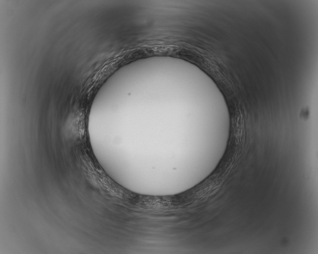 X0000116160962200912141217