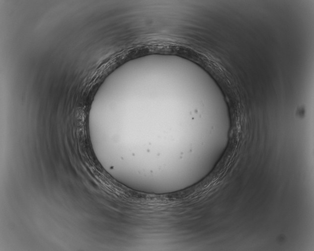 X0000116160964200912141217