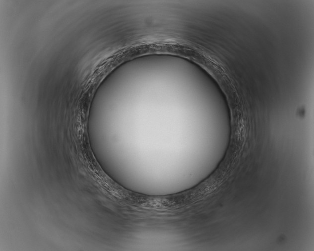X0000116160966200912141217