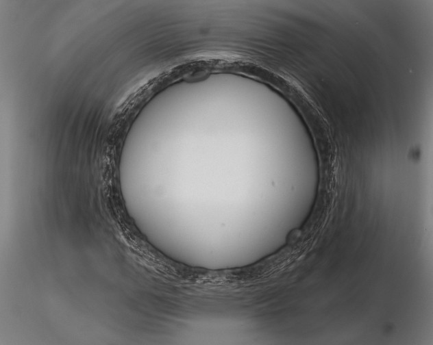 X0000116160967200912141217