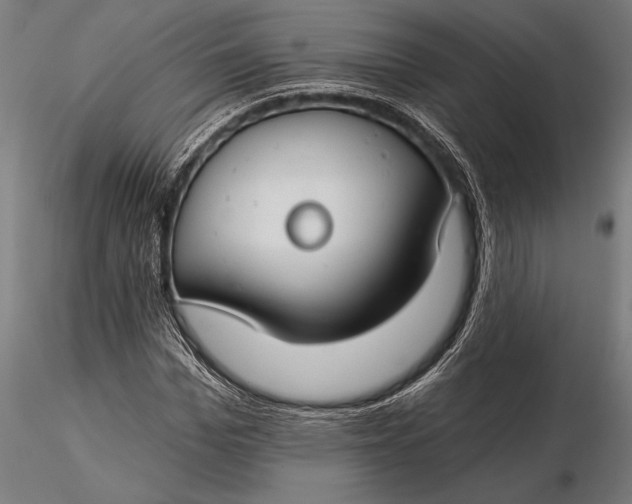 X0000116160969200912141217
