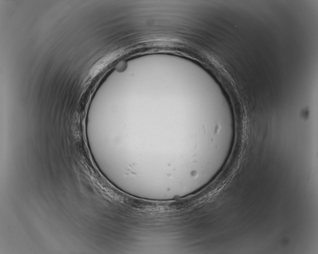 X0000116160970200912141217