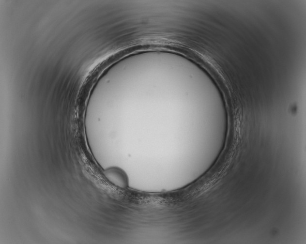 X0000116160971200912141217