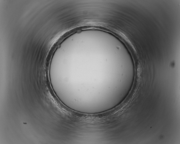 X0000116160972200912141217