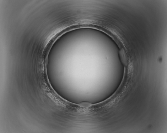 X0000116160973200912141217