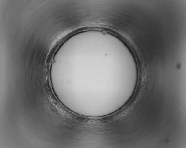 X0000116160974200912141217