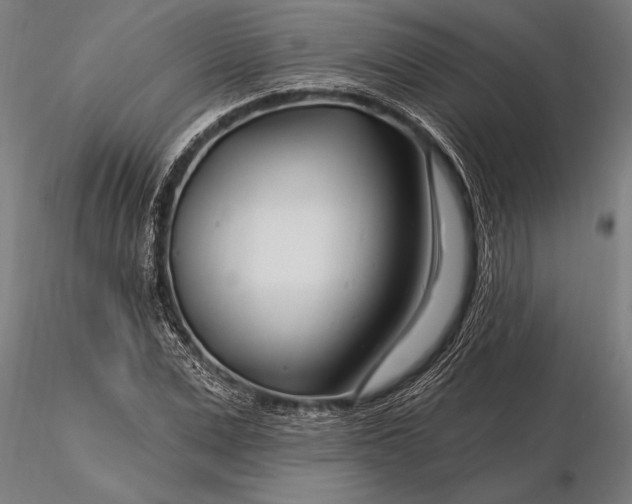 X0000116160975200912141217