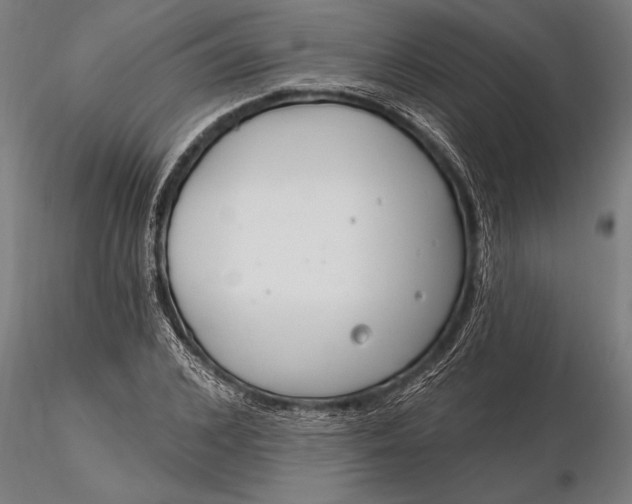 X0000116160976200912141217
