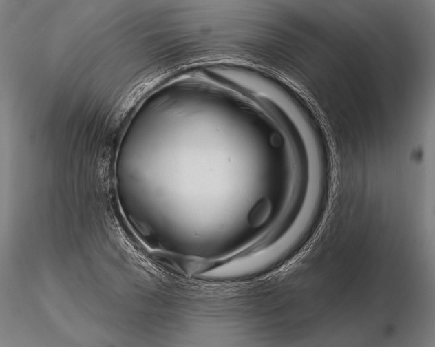 X0000116160977200912141217