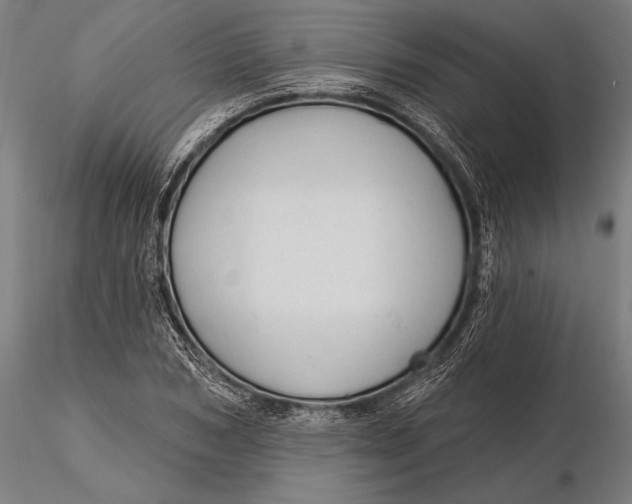 X0000116160978200912141217