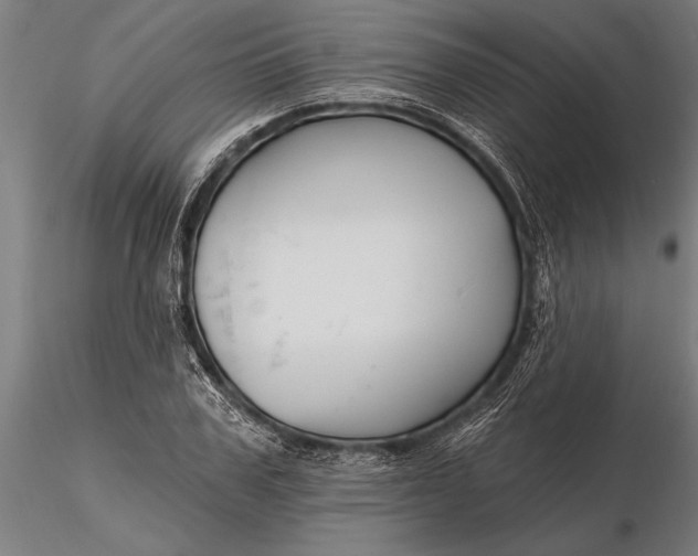 X0000116160979200912141217