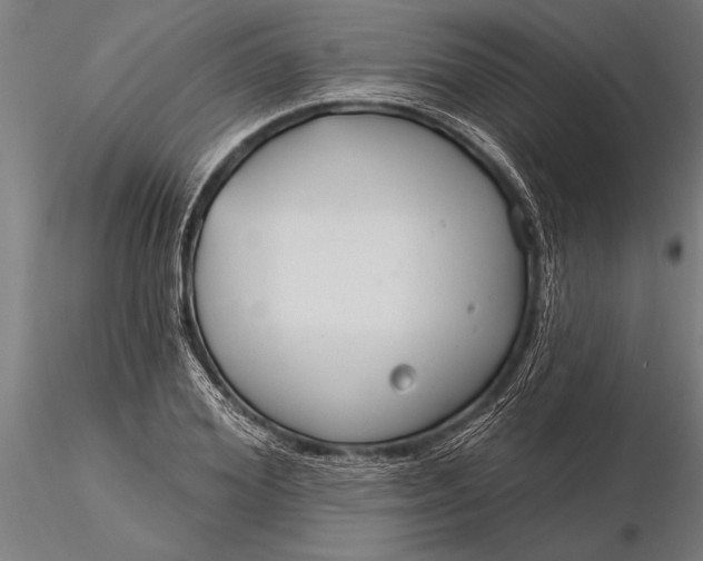 X0000116160980200912141217