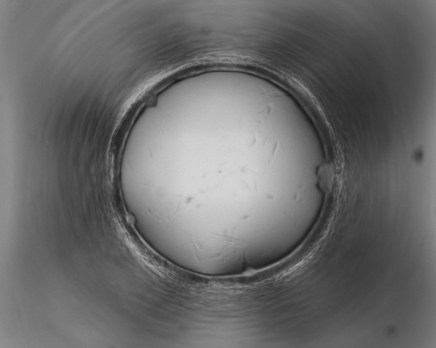 X0000116160981200912141217