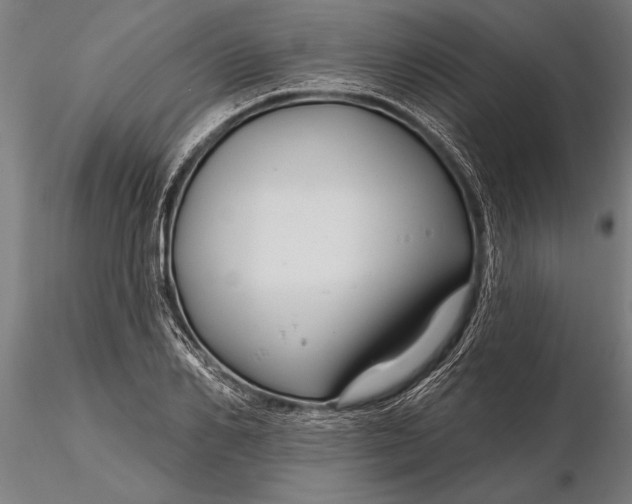 X0000116160982200912141217