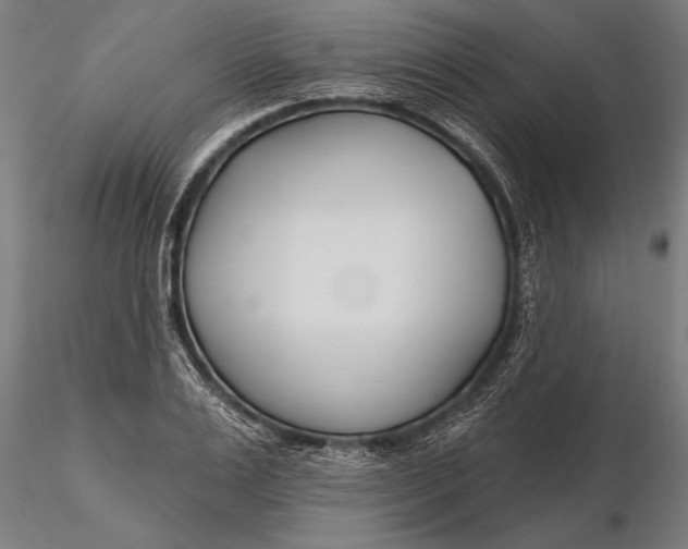 X0000116160983200912141217