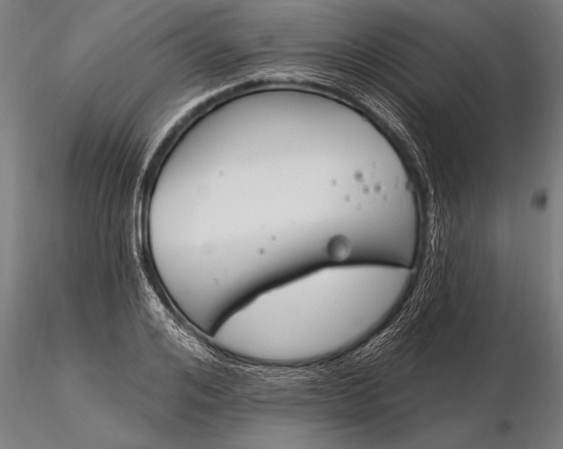 X0000116160984200912141217