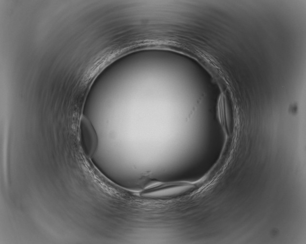 X0000116160985200912141217