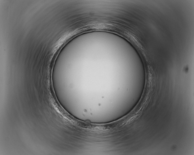 X0000116160986200912141216