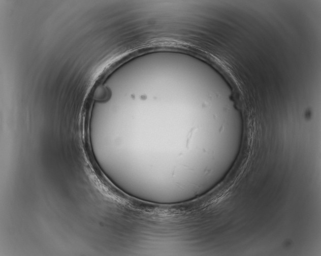 X0000116160987200912141216