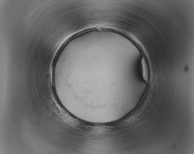 X0000116160988200912141216