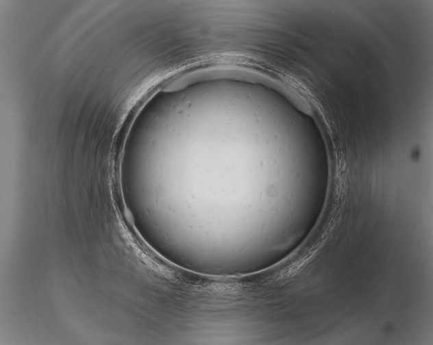X0000116160989200912141216