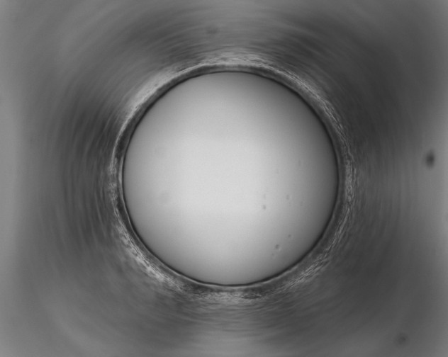 X0000116160990200912141216
