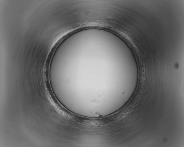 X0000116160991200912141216