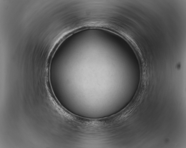 X0000116160992200912141216