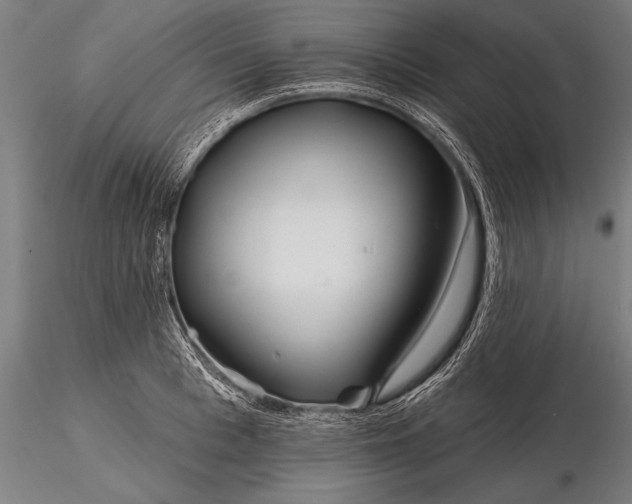 X0000116160993200912141216