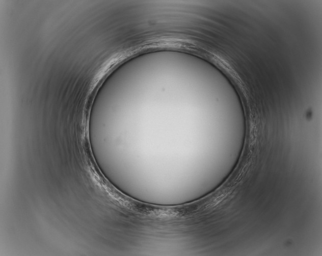 X0000116160994200912141216