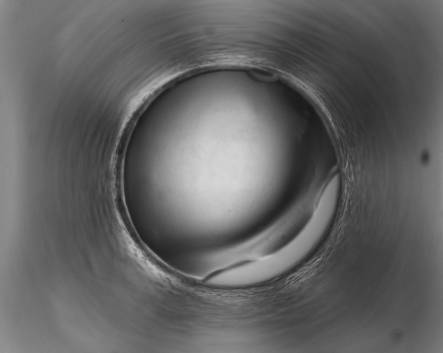 X0000116160995200912141216