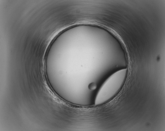 X0000116160996200912141216
