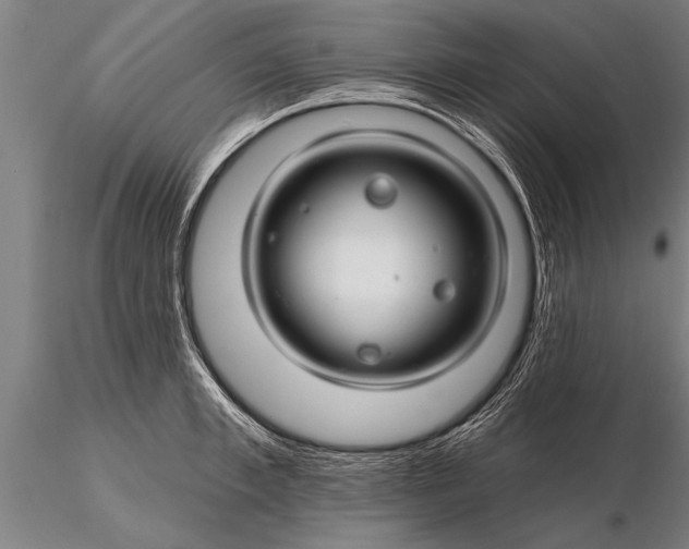 X0000116160997200912141216