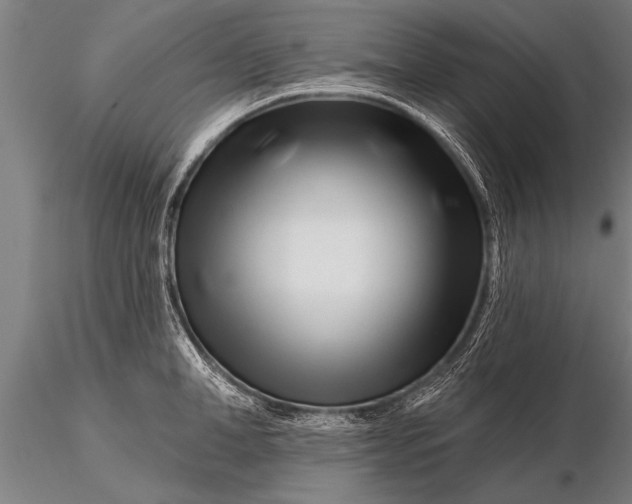 X0000116160998200912141216