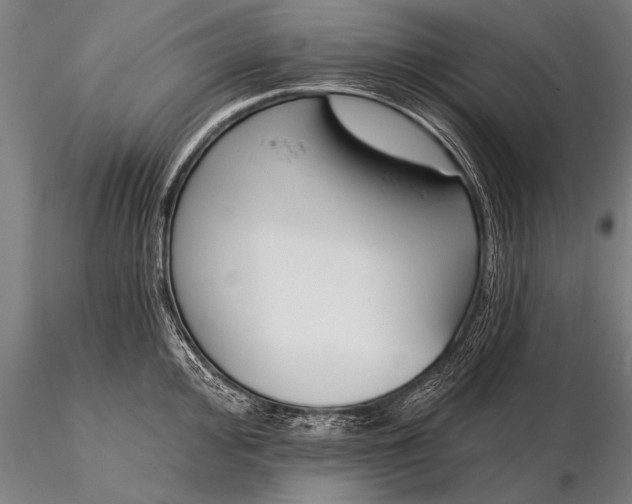X0000116161000200912141216