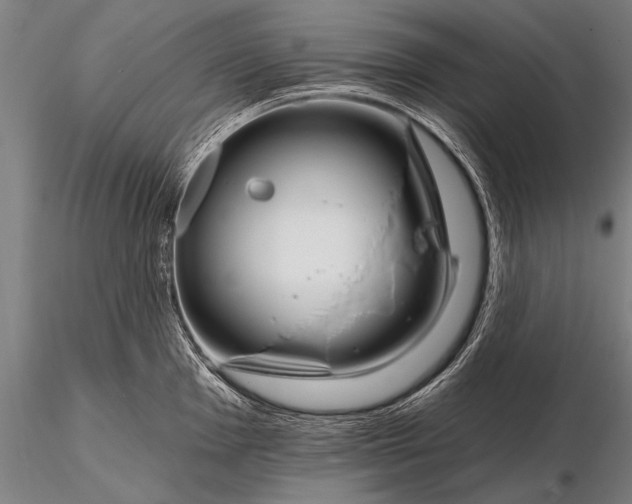 X0000116161001200912141216