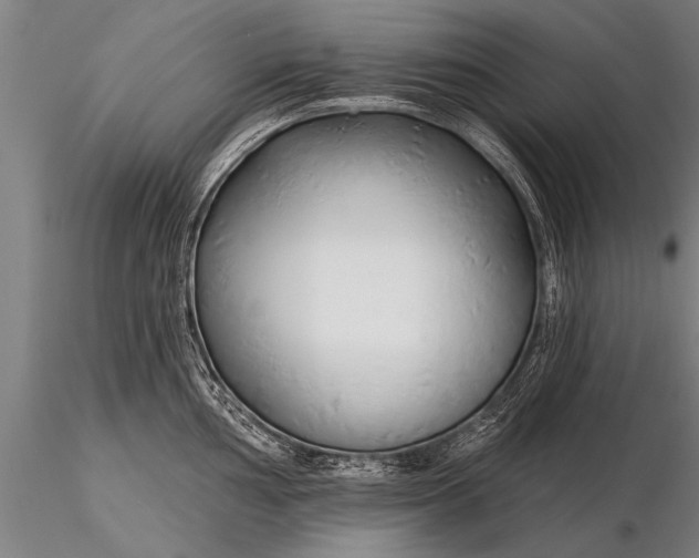 X0000116161002200912141216