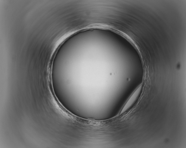 X0000116161003200912141216