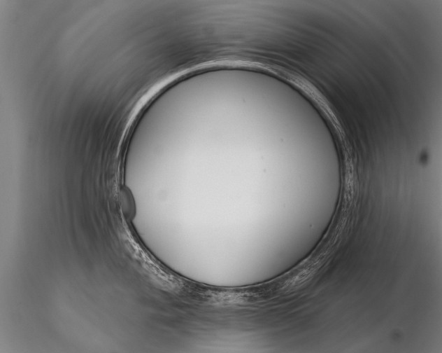X0000116161004200912141216