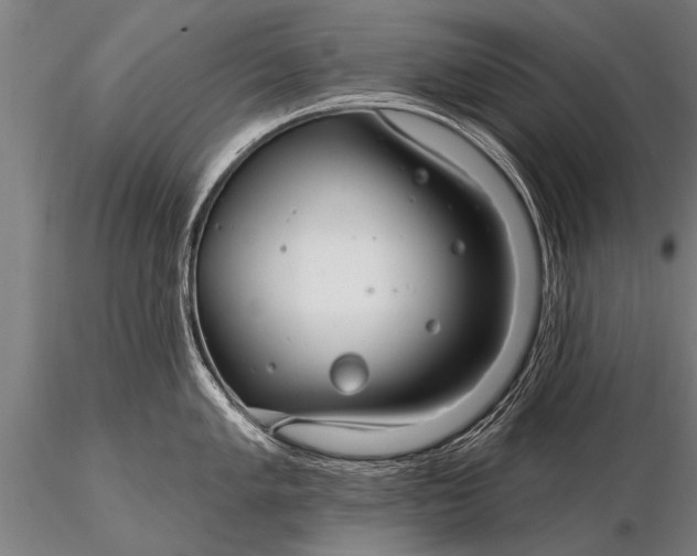 X0000116161005200912141216