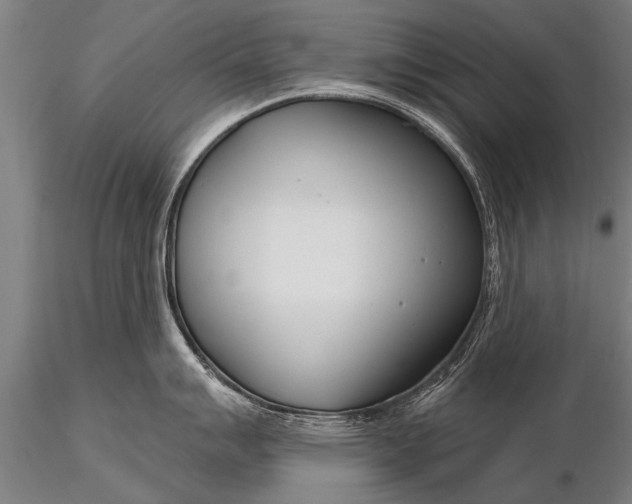 X0000116161007200912141216