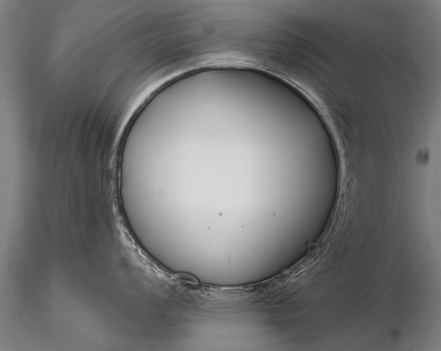 X0000116161008200912141216