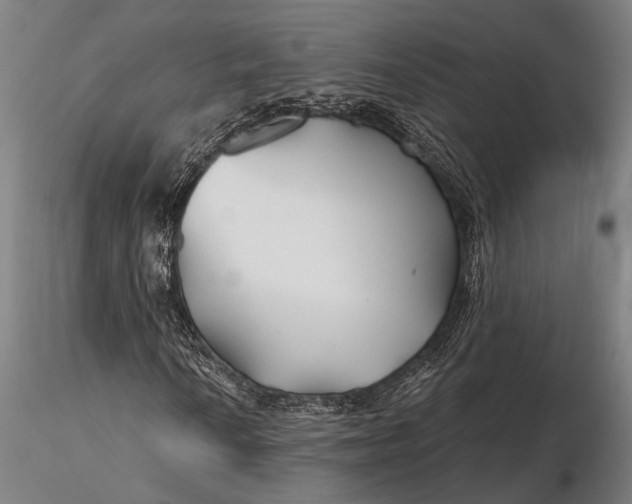 X0000116161010200912141215