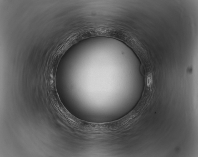 X0000116161011200912141216