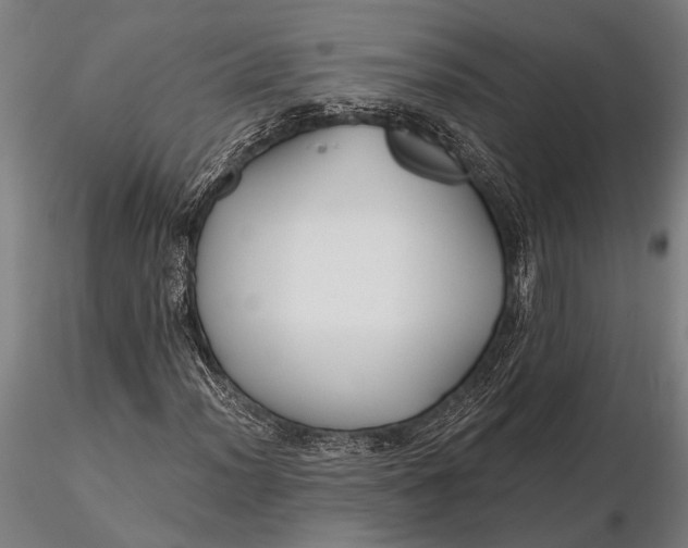 X0000116161012200912141216