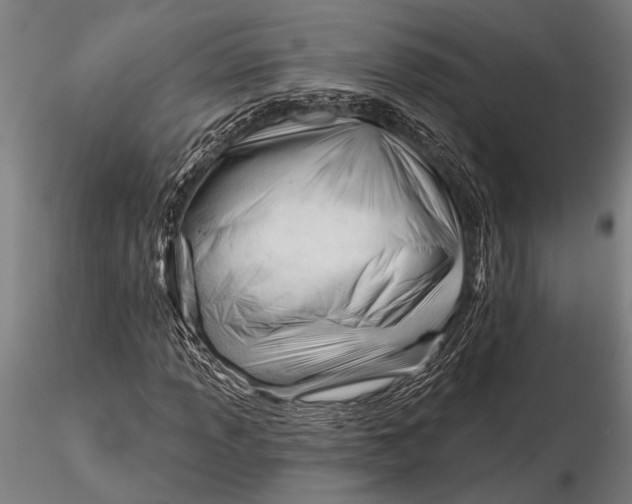 X0000116161013200912141216