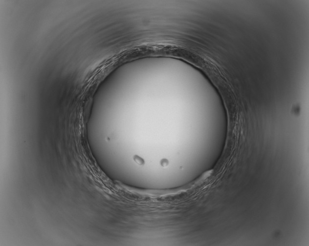 X0000116161014200912141216