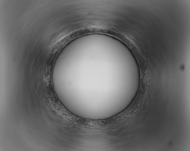 X0000116161015200912141216