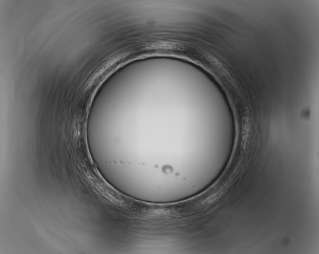 X0000116161017200912141216