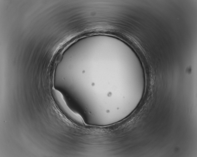X0000116161018200912141216